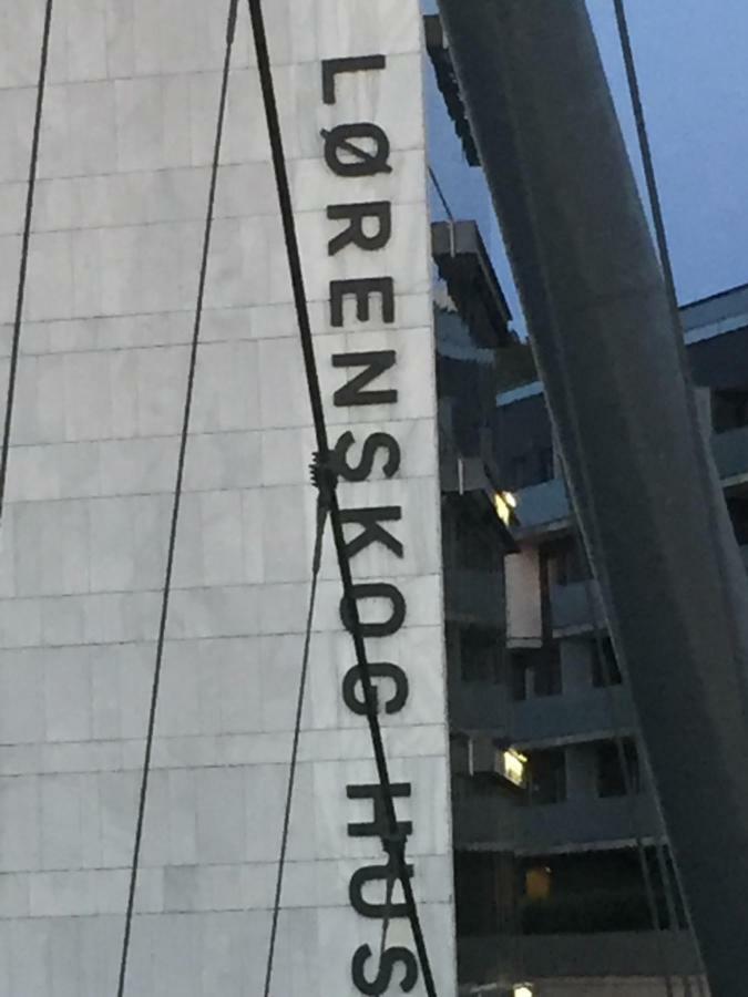 Ferienwohnung Skarer Veie 58 Lorenskog Exterior foto